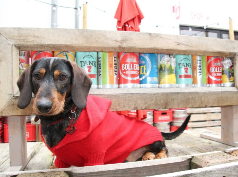 Brouwerij De Koninck