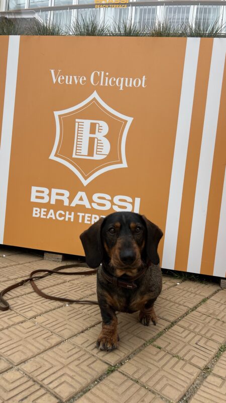 Brassi Beach Terrace