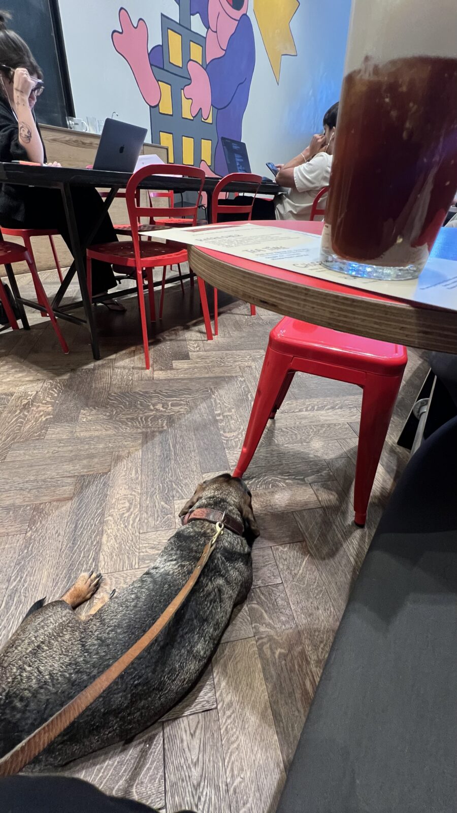 caffenation hondvriendelijke koffiebar Antwerpen