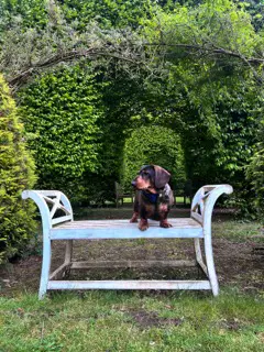 Jerom poseert op een bank van het hondvriendelijke restaurant