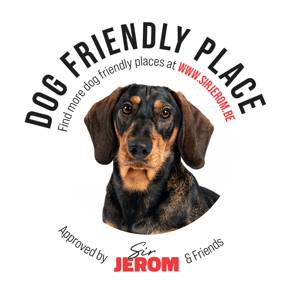 Jerom approved hondvriendelijke zaak sticker